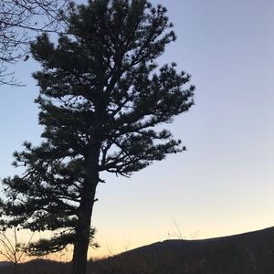 Meet your Posher, Tri